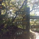 용화산로 네이버블로그