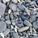 몽돌티파니횟집 이미지