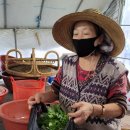 준식농장 이미지