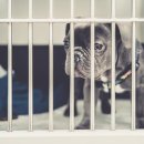 한주동물병원 이미지