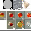 석영산업 이미지