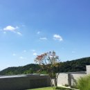세아조경