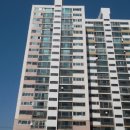 하단동118 이미지