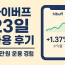 제기23 | 하이버프 [한국시장] 23일 사용 후기 – 최소 금액으로 실험한 경험