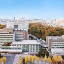 보라매 조선비즈