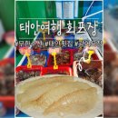 답양 | [안면도 가성비 횟집] 회 포장은 여기가 답이다! 무한수산 광어회 포장 후기