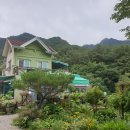 로즈마리 펜션 이미지