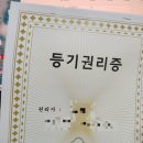 법무법인 신세기 등기 수령 후기! 전세보증보험 가입하면 임대인은?
