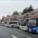 공단로가로수 이미지