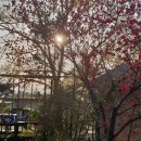 토브의 강가 이미지