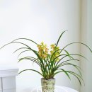 동양스프링 이미지