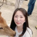 바시투어 이미지