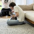 멍이랑 냥이랑 이미지