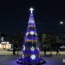 5일장 박수근 광장 이미지