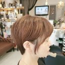 다시보다헤어살롱