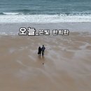 현대시선 2월 선정시_오늘_은빛 한희란_낭송 김미현_편집 윤기영 이미지