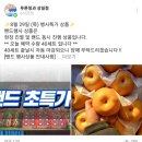 푸른청과 이미지