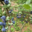 우석농장 이미지