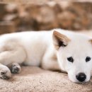 삼동농장 이미지