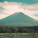 장안벚꽃길 이미지