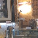 세계기독교박물관 이미지