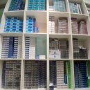 으뜸50안경 감일점 이미지