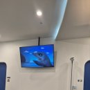 이든소아청소년과의원 이미지