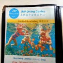 비소(조)-일-8 | 보홀 돌조비치 스노쿨링 JNP 최근 후기