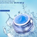 블루썬 네이버블로그