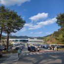 솔향빨래방 | 강원도 웰리힐리파크 위치 객실 내부 부대시설 근처 가볼만한 곳 총정리