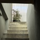 을지로4가역 8번 출구 | 을지로 인테리어 오브제 소품샵 - 프롤(FROLL) 내돈내산 후기