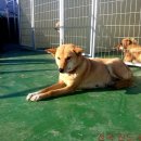 일순농장 이미지