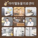 대흥동물병원 이미지