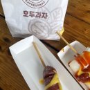 퀸애견 | 애견동반 제주 여행 , 목포항 퀸제누비아호 펫스텐다드룸 이용후기
