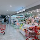 롯데마트 서울역점 2층 수족관 | 서울역 다이소 서울역점, 롯데마트서울역점2층 방문 후기