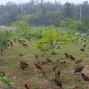 현우농장 이미지