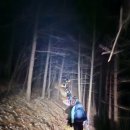 대구드림산악회백두대간9기 북진종주대19구간 늘재~청화산~조항산~대야산~버리미기재 이미지