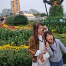 가고파플라워 이미지