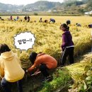 불곡고등학교 이미지