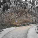 다정목장 이미지