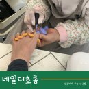네일더초롱