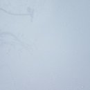 오토코트 이미지