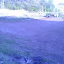 가나안농원 이미지