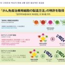 센신 이미지