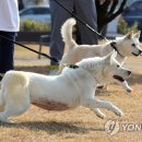 송강동물병원 이미지