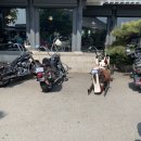 달구지주유소 이미지