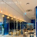 바디트리연구소 이미지