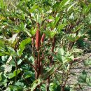 015-문산-015 이미지