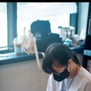 연푸른초 이미지