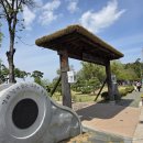 팔도화원 | 대구 아이와 화원유원지 (화원동산) 겹벚꽃 상황